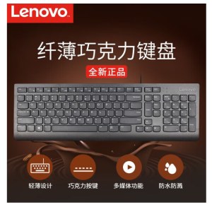 联想(Lecoo)/USB键盘/THINKPAD4X30M86879